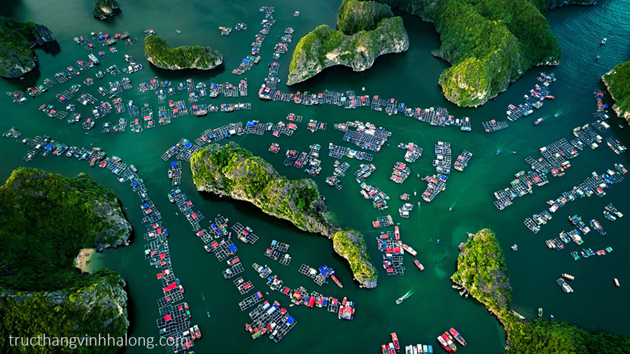 Toàn cảnh Vịnh Hạ Long nhìn từ trực thăng