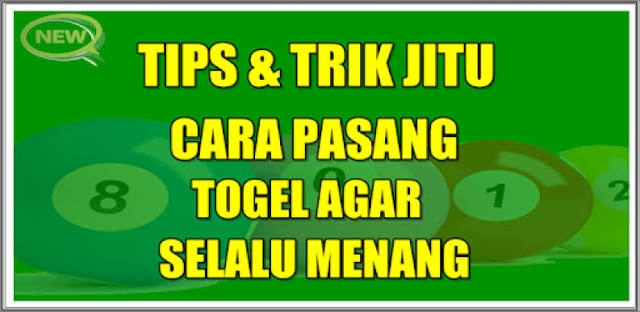 cara bermain togel untuk pemula
